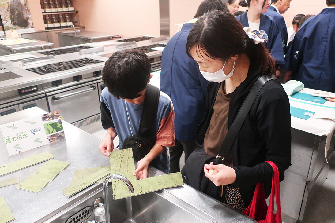 画像：子ども和食セッション_蓮（はす）の葉が水をはじく様子を観察