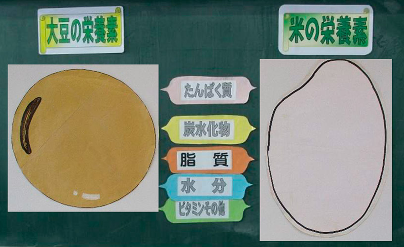 大豆とお米の栄養素は?
